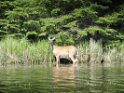 DSC01553