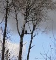 DSC01763