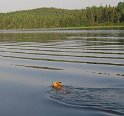 DSCN2438