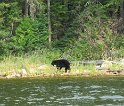 IMG_0071