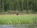 IMG_0646
