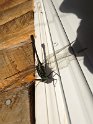IMG_0733