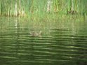IMG_1982