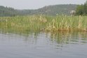 IMG_7395