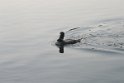 IMG_7398