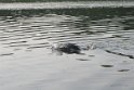 IMG_7401