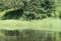 IMG_7550
