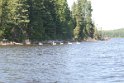IMG_7553