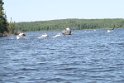 IMG_7555