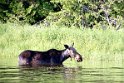 img_1166_0103