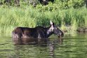 img_1169_0106