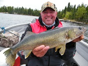 Kalonka walleye