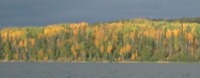 Packer Colors