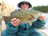 0801bass