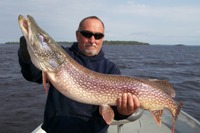 Northern