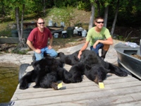 1003bear